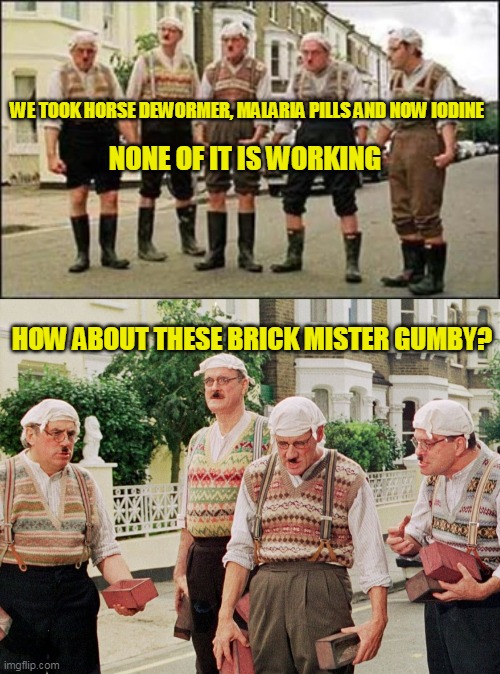 Their brain hurts! | WE TOOK HORSE DEWORMER, MALARIA PILLS AND NOW IODINE; NONE OF IT IS WORKING; HOW ABOUT THESE BRICK MISTER GUMBY? | image tagged in anti-vaxxers,dumb | made w/ Imgflip meme maker