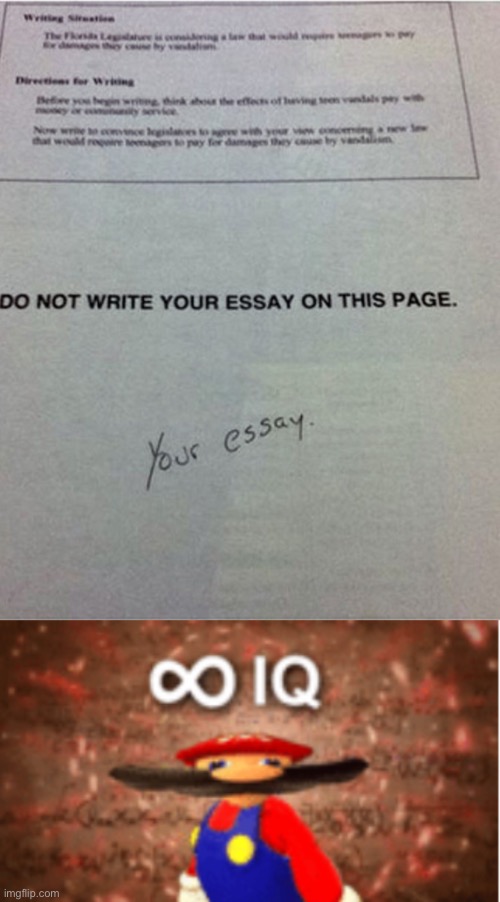 Your essay :) | image tagged in infinite iq,memes,funny,essay,funny kids test answers,funny test answers | made w/ Imgflip meme maker