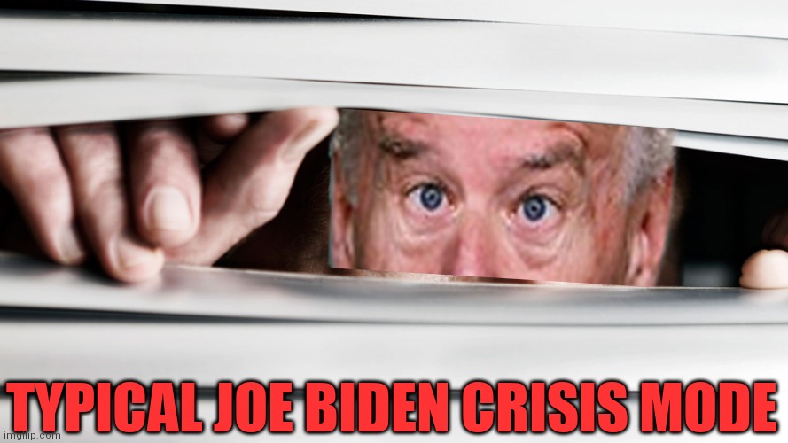 hiding | TYPICAL JOE BIDEN CRISIS MODE | image tagged in hiding | made w/ Imgflip meme maker