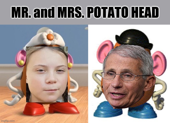 Birds of a FEATHER.. |  MR. and MRS. POTATO HEAD | image tagged in mrs potato head,mr potato head,dr fauci,greta thunberg | made w/ Imgflip meme maker