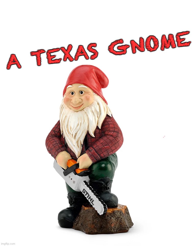 A Texas Gnome |  A TEXAS GNOME | image tagged in horror,halloween,texas chainsaw massacre,gnome,spooky,texas | made w/ Imgflip meme maker