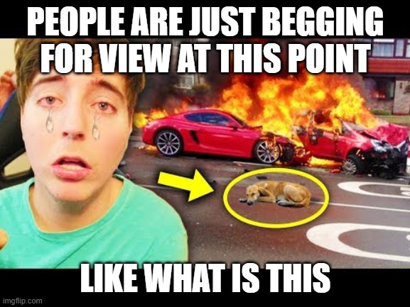 Clickbait MrBeast | PEOPLE ARE JUST BEGGING FOR VIEW AT THIS POINT; LIKE WHAT IS THIS | image tagged in mrbeast | made w/ Imgflip meme maker