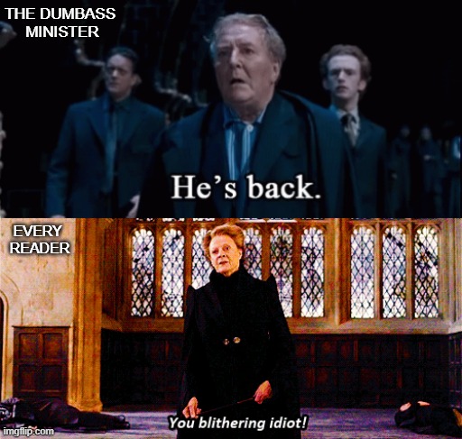 The end of OOTP | THE DUMBASS 
MINISTER; EVERY 
READER | image tagged in harry potter,harry potter meme | made w/ Imgflip meme maker