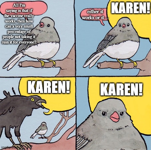 Interrupting bird | All I'm saying is that if the vaccine really works, then how can a very small percentage of people not taking it ruin it for everyone? KAREN! either it works or it --; KAREN! KAREN! | image tagged in interrupting bird,karen,vaccine,politics,memes | made w/ Imgflip meme maker