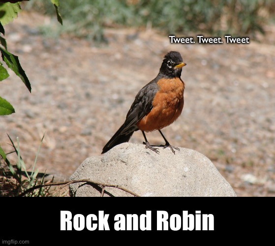 It’s an Oldie. But a Goodie. | Tweet. Tweet. Tweet; Rock and Robin | image tagged in funny memes,dad jokes,eyeroll | made w/ Imgflip meme maker