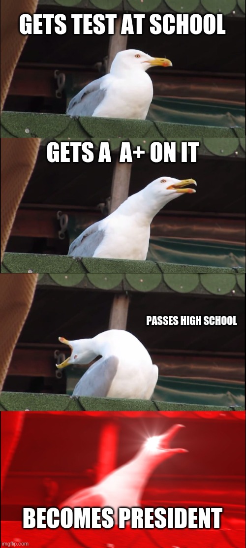 Inhaling Seagull | GETS TEST AT SCHOOL; GETS A  A+ ON IT; PASSES HIGH SCHOOL; BECOMES PRESIDENT | image tagged in memes,inhaling seagull | made w/ Imgflip meme maker