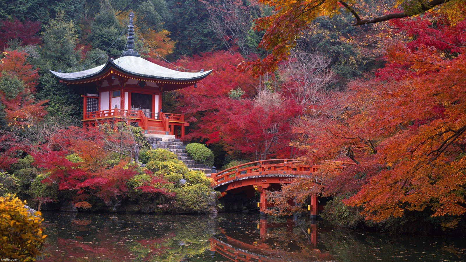 Pretty fall colors in Japan | image tagged in awesome | made w/ Imgflip meme maker