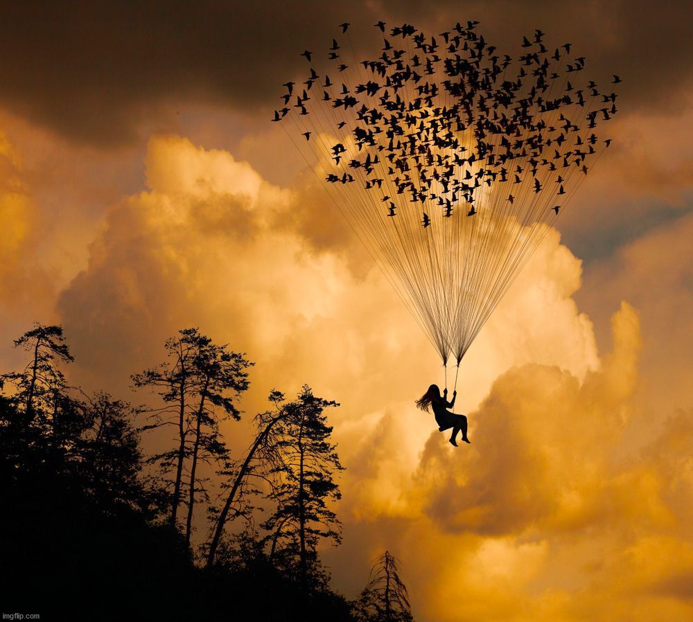 Fly away | image tagged in awesome | made w/ Imgflip meme maker