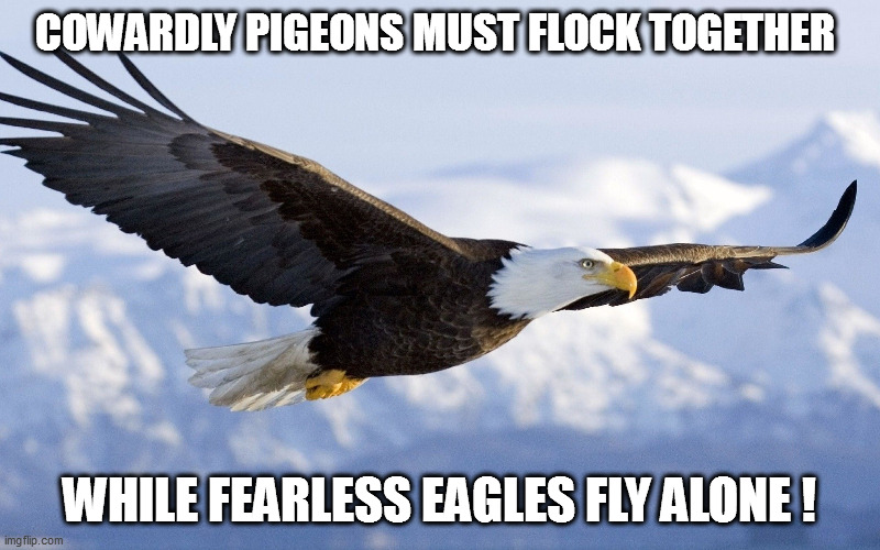 America was not created by the mindless for the mindless. | COWARDLY PIGEONS MUST FLOCK TOGETHER; WHILE FEARLESS EAGLES FLY ALONE ! | image tagged in npcs,libtards | made w/ Imgflip meme maker