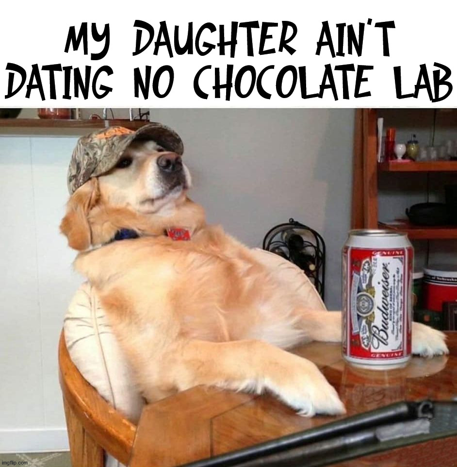 MY DAUGHTER AIN'T DATING NO CHOCOLATE LAB | image tagged in dark humor,that's racist | made w/ Imgflip meme maker