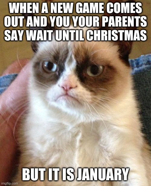 Grumpy Cat |  WHEN A NEW GAME COMES OUT AND YOU YOUR PARENTS SAY WAIT UNTIL CHRISTMAS; BUT IT IS JANUARY | image tagged in memes,grumpy cat | made w/ Imgflip meme maker