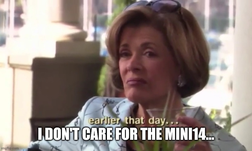 Lucille Bluth I don’t care for Gob | I DON'T CARE FOR THE MINI14... | image tagged in lucille bluth i don t care for gob | made w/ Imgflip meme maker