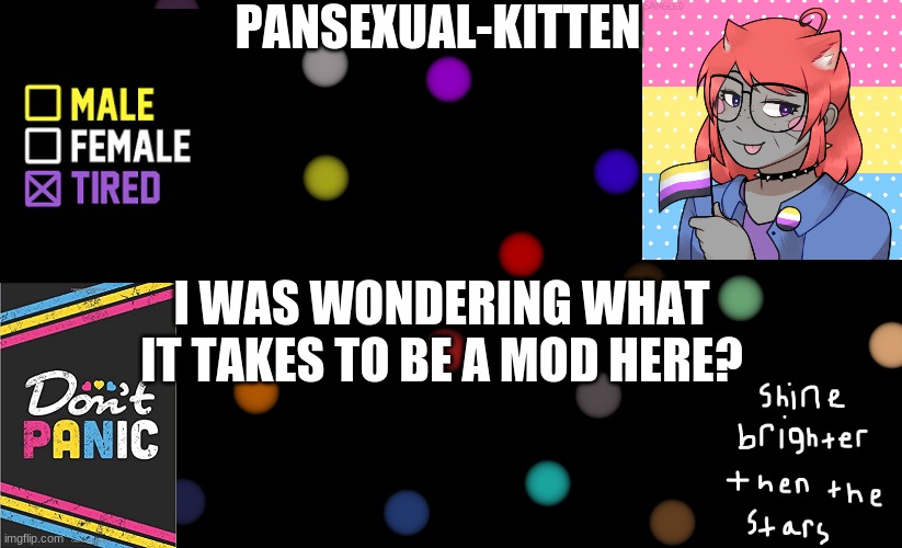 ~Pansexual-kitten~ | I WAS WONDERING WHAT IT TAKES TO BE A MOD HERE? | image tagged in pansexual-kitten | made w/ Imgflip meme maker