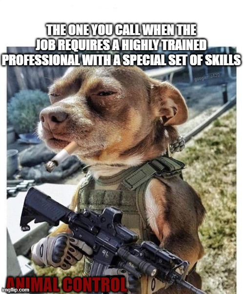 Who you gonna call |  THE ONE YOU CALL WHEN THE JOB REQUIRES A HIGHLY TRAINED PROFESSIONAL WITH A SPECIAL SET OF SKILLS; ANIMAL CONTROL | image tagged in animal control officer,tough,professional,pets,jobs,help | made w/ Imgflip meme maker