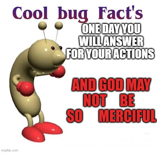answer for your actoins | ONE DAY YOU WILL ANSWER FOR YOUR ACTIONS; AND GOD MAY NOT     BE   SO      MERCIFUL | image tagged in cool bug facts | made w/ Imgflip meme maker