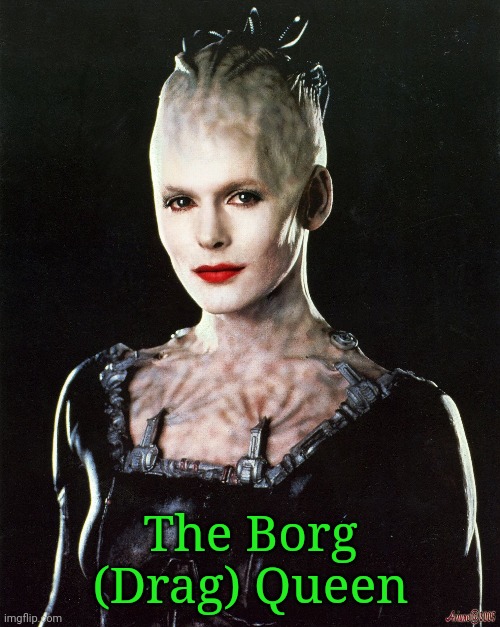 The Borg (Drag) Queen | The Borg (Drag) Queen | image tagged in memes,star trek,star trek the next generation,star trek voyager,the borg | made w/ Imgflip meme maker