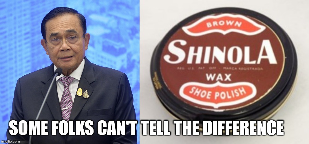 Can't tell shit from Shinola | SOME FOLKS CAN'T TELL THE DIFFERENCE | image tagged in politics,political meme,political | made w/ Imgflip meme maker