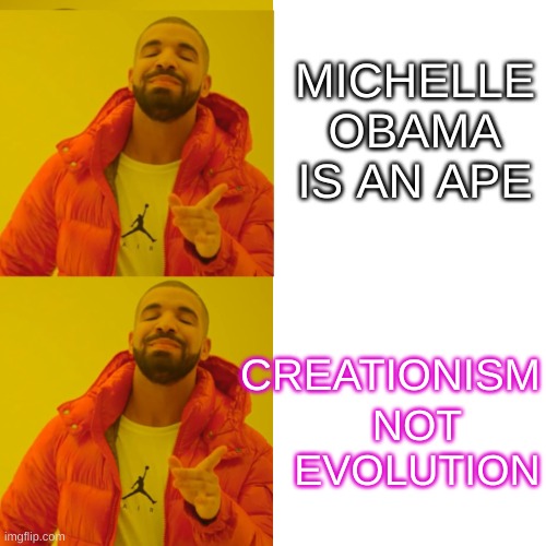 double denial | MICHELLE OBAMA IS AN APE; CREATIONISM; NOT EVOLUTION | image tagged in drake double approval,racism,michelle obama,creationism,evolution,white nationalism | made w/ Imgflip meme maker