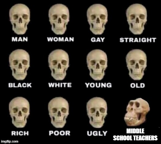 Middle School Teachers | MIDDLE SCHOOL TEACHERS | image tagged in idiot skull | made w/ Imgflip meme maker