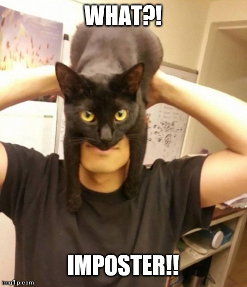WHAT?! IMPOSTER!! | made w/ Imgflip meme maker