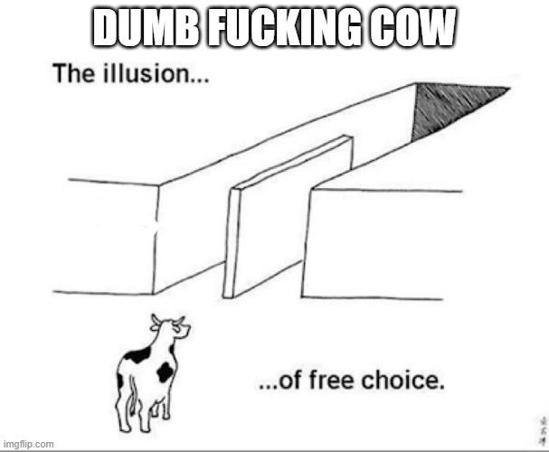 Illusion of free choice | DUMB FUCKING COW | image tagged in illusion of free choice | made w/ Imgflip meme maker