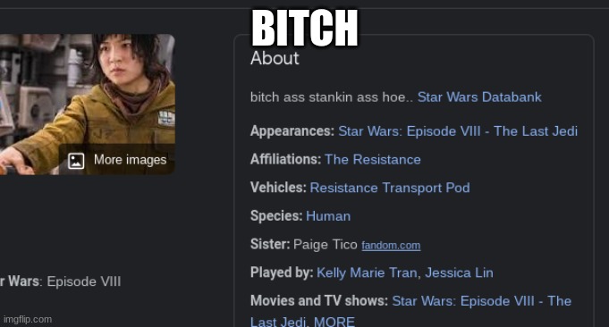 BITCH | image tagged in dick and balls,star wars | made w/ Imgflip meme maker