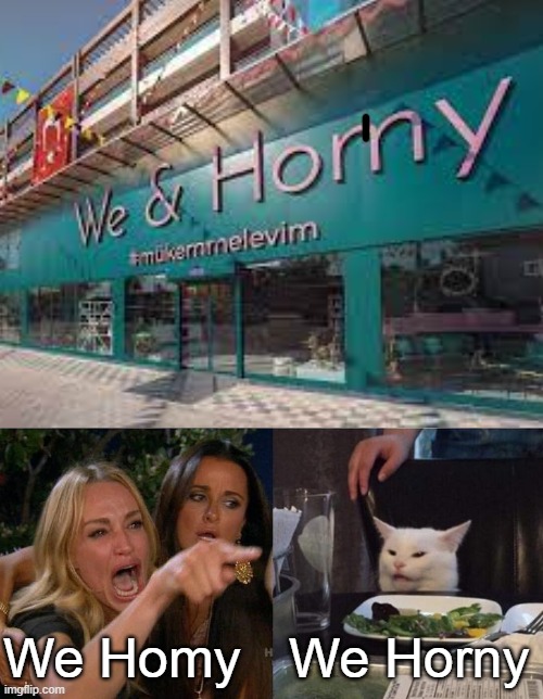 i just saw that store in the school bus, i instantly thought that this will make a good meme | We Homy; We Horny | image tagged in memes,woman yelling at cat,horny | made w/ Imgflip meme maker