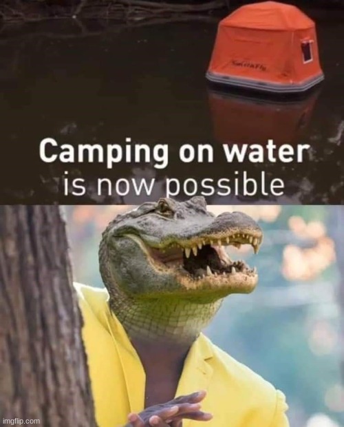 You don't say? | image tagged in memes,crocodile,camping,dark humor | made w/ Imgflip meme maker
