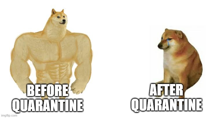 BEFORE QUARANTINE AFTER QUARANTINE | image tagged in strong doge weak doge | made w/ Imgflip meme maker