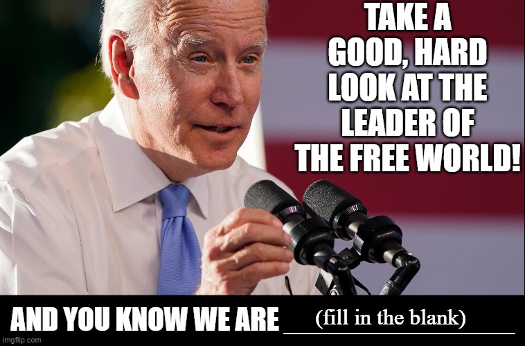 Interactive Meme. Please, insert the correct word. | TAKE A GOOD, HARD LOOK AT THE LEADER OF THE FREE WORLD! AND YOU KNOW WE ARE ______________ (fill in the blank) | image tagged in vince vance,sleepy,creepy,leader of the free world,memes,joe biden | made w/ Imgflip meme maker