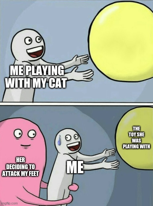 Running Away Balloon Meme | ME PLAYING WITH MY CAT; THE TOY SHE WAS PLAYING WITH; HER DECIDING TO ATTACK MY FEET; ME | image tagged in memes,running away balloon | made w/ Imgflip meme maker