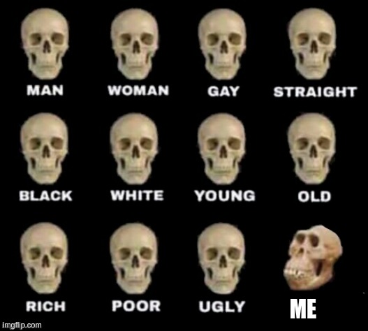 Different Type of Skulls | ME | image tagged in different type of skulls | made w/ Imgflip meme maker