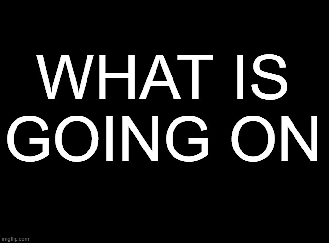 blank black | WHAT IS GOING ON | image tagged in blank black | made w/ Imgflip meme maker