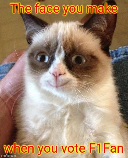 Ngl, that image looks cursed. | The face you make; when you vote F1Fan | image tagged in memes,grumpy cat happy,grumpy cat | made w/ Imgflip meme maker