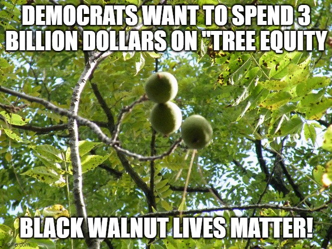 black walnut lives matter! | DEMOCRATS WANT TO SPEND 3 BILLION DOLLARS ON "TREE EQUITY; BLACK WALNUT LIVES MATTER! | made w/ Imgflip meme maker