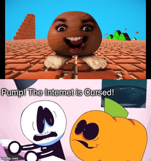i have foun this image and you can use it :) | image tagged in pump the internet is cursed | made w/ Imgflip meme maker