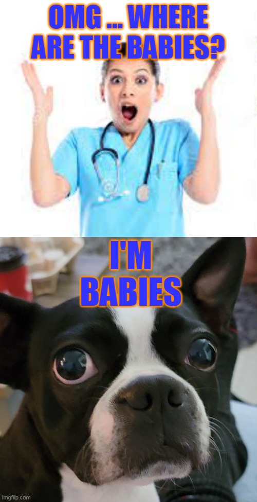 Babies | OMG ... WHERE ARE THE BABIES? I'M BABIES | image tagged in babies | made w/ Imgflip meme maker