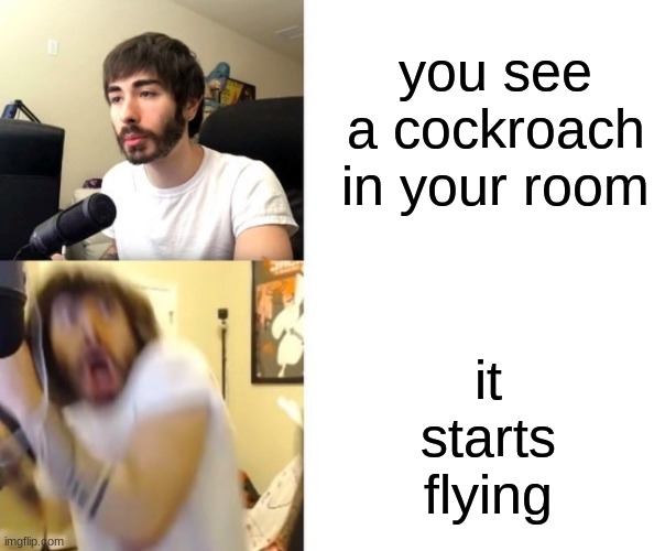 Daily Meme Supplies #1 |  you see a cockroach in your room; it starts flying | image tagged in cockroach,flying,memes | made w/ Imgflip meme maker