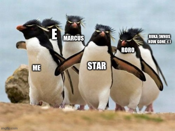 Penguin Gang Meme | E; RUKA (WHOS NOW GONE :( ); MARCUS; RORO; STAR; ME | image tagged in memes,penguin gang | made w/ Imgflip meme maker
