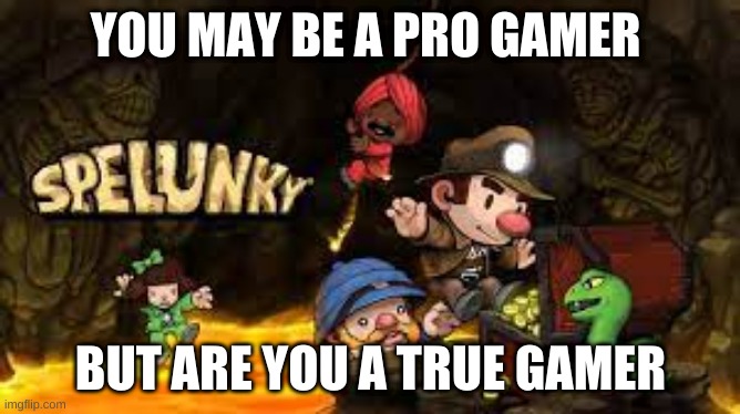 Derek Yu | YOU MAY BE A PRO GAMER; BUT ARE YOU A TRUE GAMER | image tagged in spelunky | made w/ Imgflip meme maker