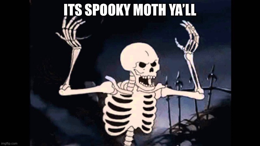 Spooky Skeleton | ITS SPOOKY MOTH YA’LL | image tagged in spooky skeleton | made w/ Imgflip meme maker
