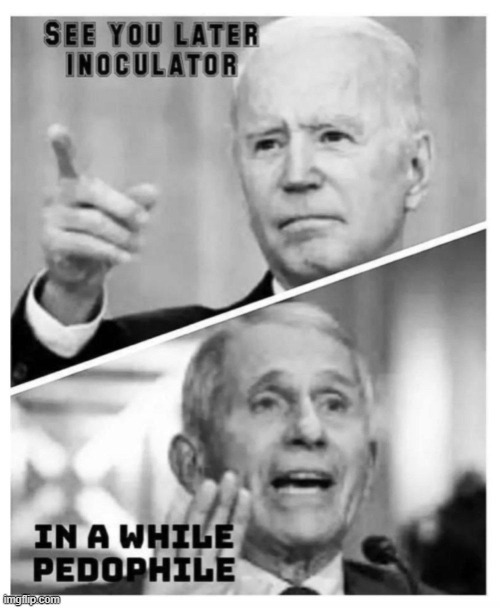 Rhyming is Like Ice Cream for the Soul | image tagged in biden and fauci | made w/ Imgflip meme maker
