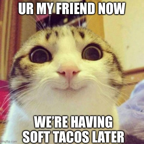 Yes | UR MY FRIEND NOW; WE’RE HAVING SOFT TACOS LATER | image tagged in memes,smiling cat | made w/ Imgflip meme maker