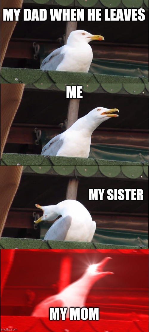 Inhaling Seagull Meme | MY DAD WHEN HE LEAVES; ME; MY SISTER; MY MOM | image tagged in memes,inhaling seagull | made w/ Imgflip meme maker