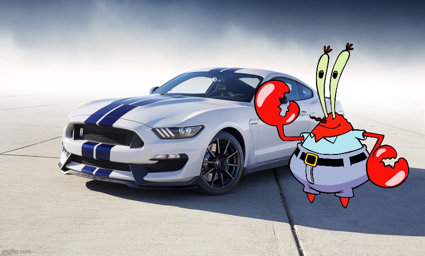 2015 Ford Mustang GT350 | image tagged in 2015 ford mustang gt350 | made w/ Imgflip meme maker