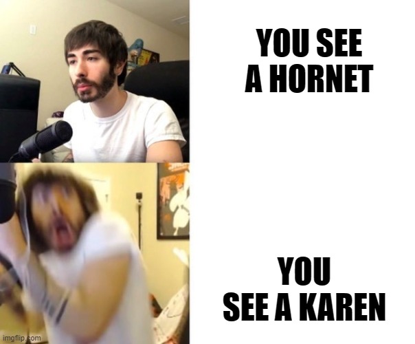 Penguinz0 |  YOU SEE A HORNET; YOU SEE A KAREN | image tagged in penguinz0 | made w/ Imgflip meme maker