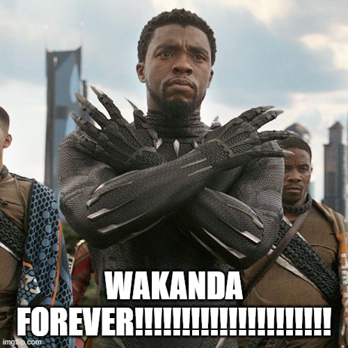 Who agrees with me? | WAKANDA FOREVER!!!!!!!!!!!!!!!!!!!!! | image tagged in wakanda forever | made w/ Imgflip meme maker