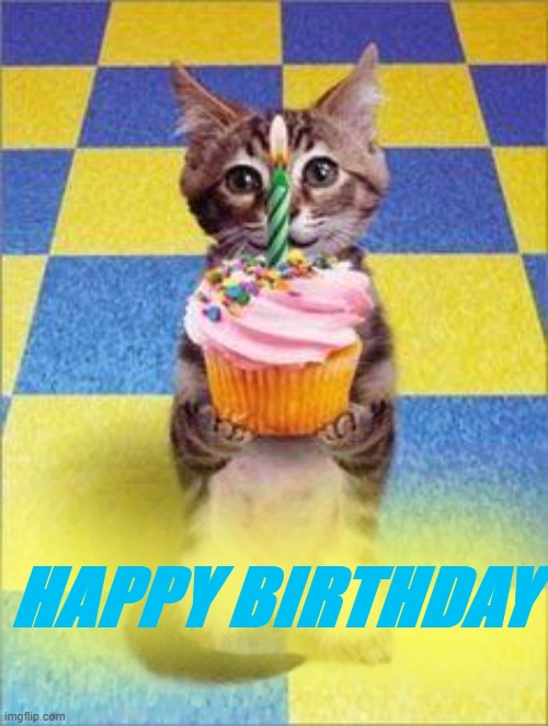 Happy Birthday Cat | HAPPY BIRTHDAY | image tagged in happy birthday cat | made w/ Imgflip meme maker