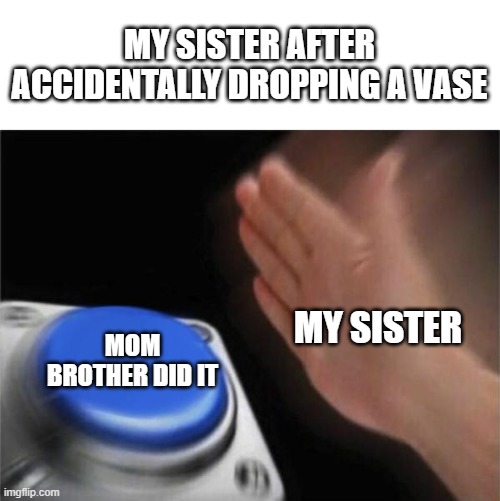 Blank Nut Button | MY SISTER AFTER ACCIDENTALLY DROPPING A VASE; MY SISTER; MOM BROTHER DID IT | image tagged in memes,blank nut button | made w/ Imgflip meme maker