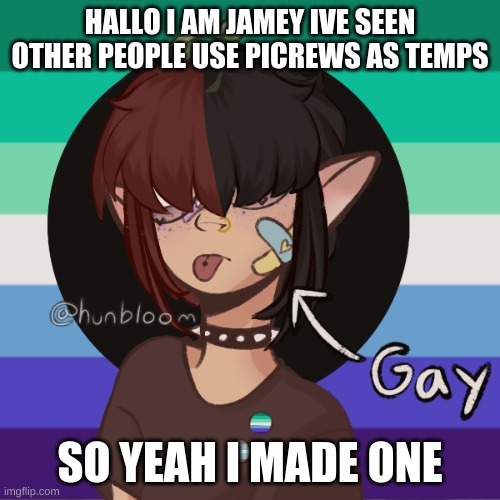 Hi im jamey :) | HALLO I AM JAMEY IVE SEEN OTHER PEOPLE USE PICREWS AS TEMPS; SO YEAH I MADE ONE | image tagged in hi im jamey | made w/ Imgflip meme maker